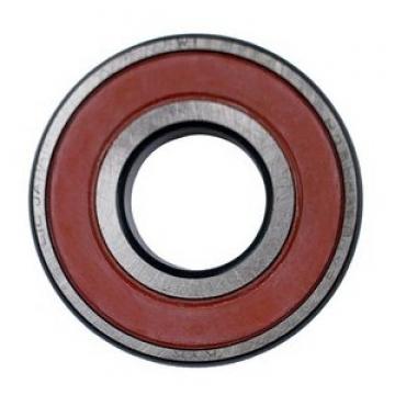 NACHI, Timken, NSK, NTN, Koyo, IKO, Auto Deep Groove Ball Bearing SKF (6204 6205 6206 6207 6209 Z Zz RS 2RS Bearing