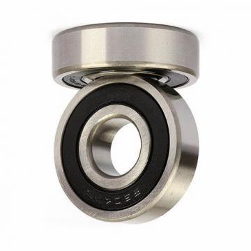 6200z 6603 2RS 6305 6022 628z Dual Self-Aligning Ball Bearing Zz809