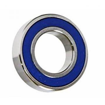 Brass Retainer NSK NTN Koyo Timken SKF Bearing 22218 23218 21318 22318 22219 21319 22319 Self-Aligning Roller Bearing