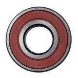 Chinese Manufacturer Bearings 6200 6201 6202 6203 6204 6205 6305 6306 6308 Zz 2RS Deep Groove Ball Bearing