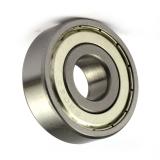 Deep Groove Ball Bearing 6300zz (SKF NACHI, Timken, NSK, NTN, KOYO, IKO 6000 6001 6002 6003 6004 6005 6006 6007 6200 6201 6202 6203 6204 6205 6301 6302 ZZ 2RS)